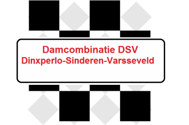 Logo Damcombinatie Dinxperlo-Sinderen-Varsseveld DSV